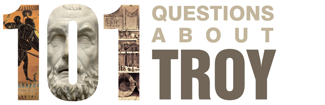 101 Questions About Troy